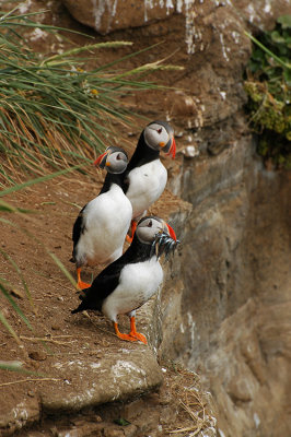 DSC_9850.jpg