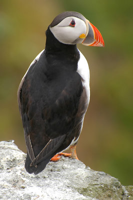 DSC_9891.jpg