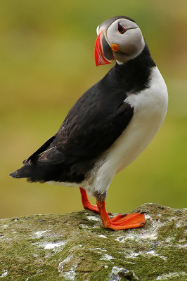 DSC_9914.jpg