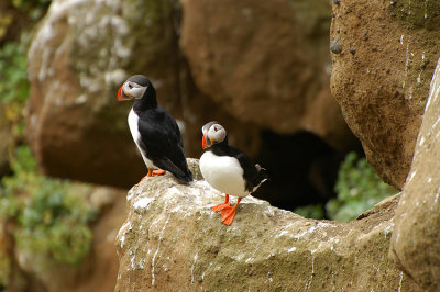 DSC_9948.jpg