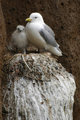 DSC_9955.jpg