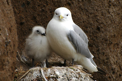 DSC_9956.jpg