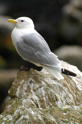 DSC_9963.jpg
