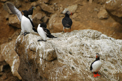 DSC_9970.jpg