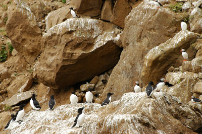 DSC_9972.jpg