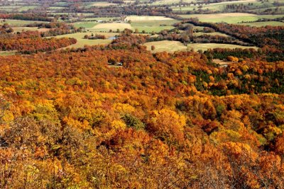 Arkansas Scene