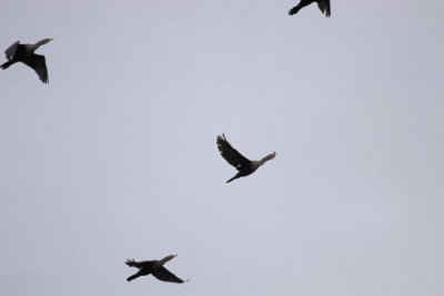 IMG_9169.jpg