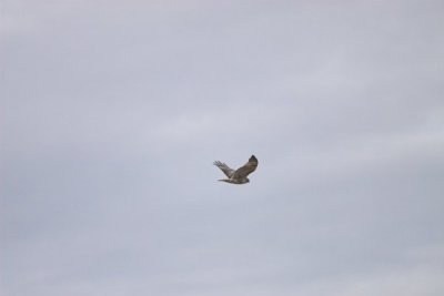 IMG_9179.jpg