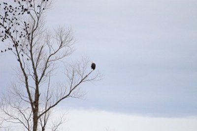 IMG_9188.jpg
