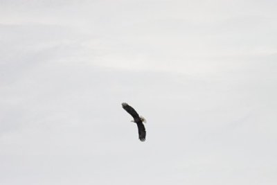 IMG_9192.jpg