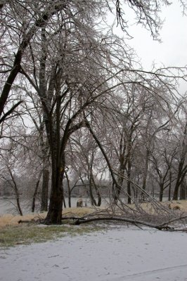 Locust Grove Ice Storm 2007