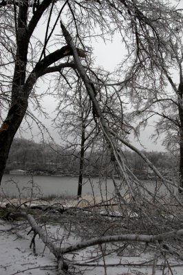 Locust Grove Ice Storm 2007