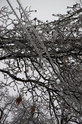 Locust Grove Ice Storm 2007