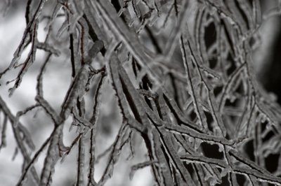 Locust Grove Ice Storm 2007