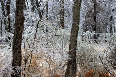 Locust Grove Ice Storm 2007