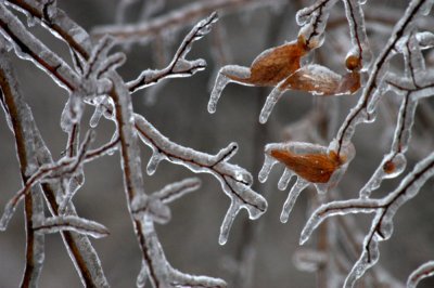 Locust Grove Ice Storm 2007