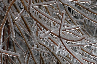 Locust Grove Ice Storm 2007