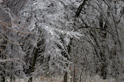 Locust Grove Ice Storm 2007