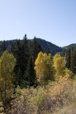 Spearfish Canyon 120.jpg