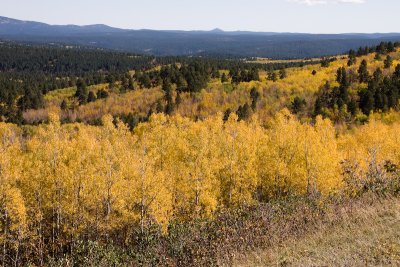 Spearfish Canyon 149.jpg