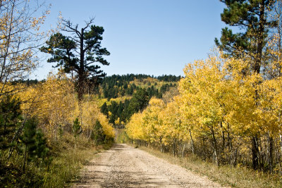 Spearfish Canyon 155.jpg