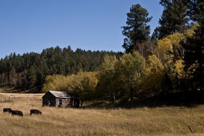 Spearfish Canyon 161.jpg