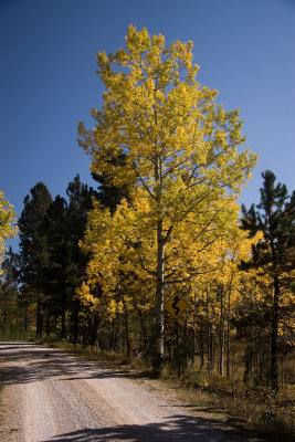 Spearfish Canyon 165.jpg