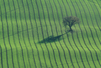 Pesaro's hills, incoming winter ?