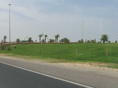 Green in Kuwait.jpg