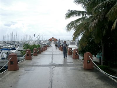 The Marina del Rey