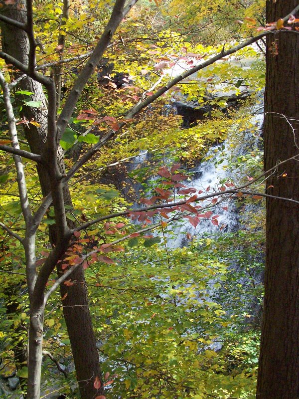 hidden water fall