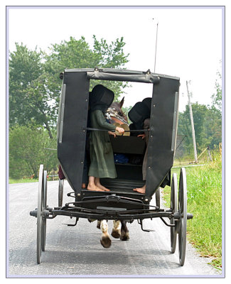 children in buggy