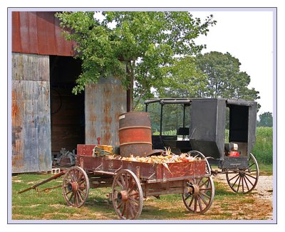 amish_life