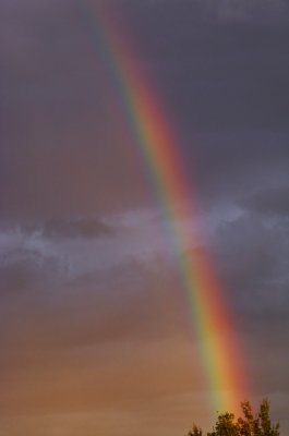 Arc-en-ciel  - Rainbow