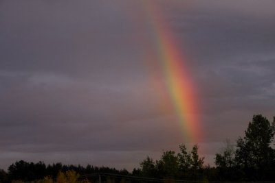  Night Rainbow