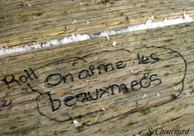 Les mecs - Guys!