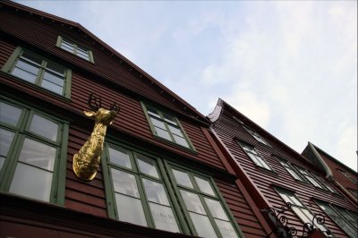 Bryggen i Bergen