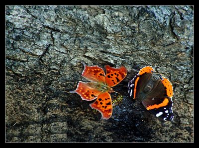 IMG_0618_web.jpg