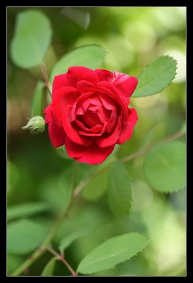 IMG_0169_web.jpg