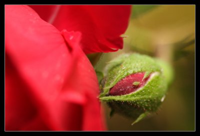IMG_0174_web.jpg