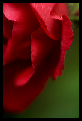 IMG_0175_web.jpg