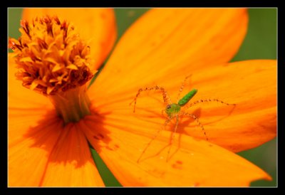 IMG_0123_web.jpg