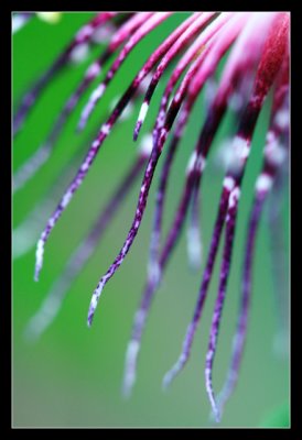 IMG_0143_web.jpg