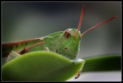 IMG_2057_web.jpg