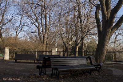 Parc Lafontaine  pict6425.jpg