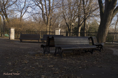 Parc Lafontaine  pict6426.jpg