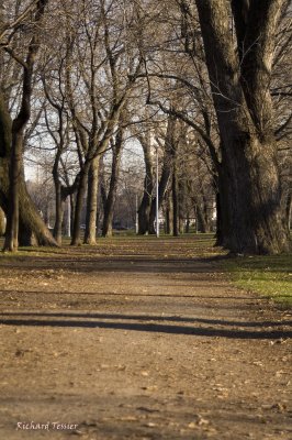 Parc Lafontaine pict6410.jpg