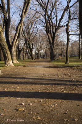 Parc Lafontaine pict6411.jpg