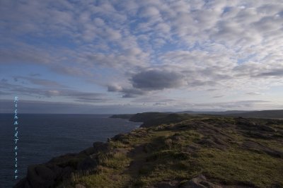 Cape spear et L'Atlantique-Nord pict4206.jpg