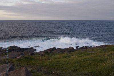 Cape spear, L'Atlantique-Nord avec toute sa douceur pict4244.jpg
